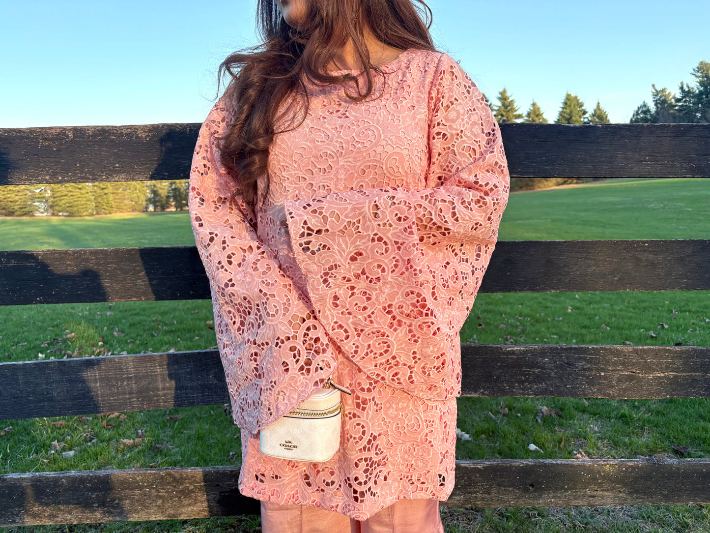 Blush pink Dentelle