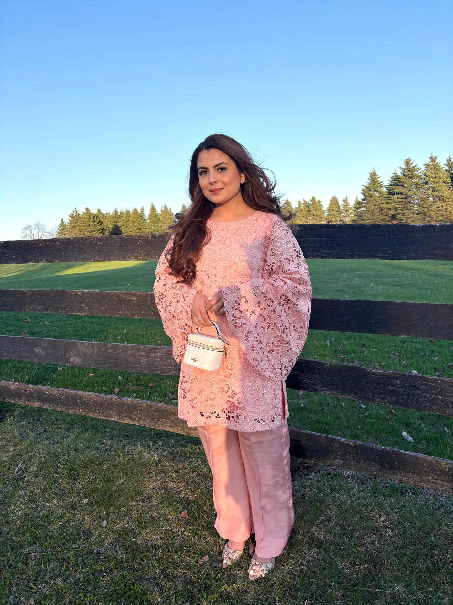 Blush pink Dentelle